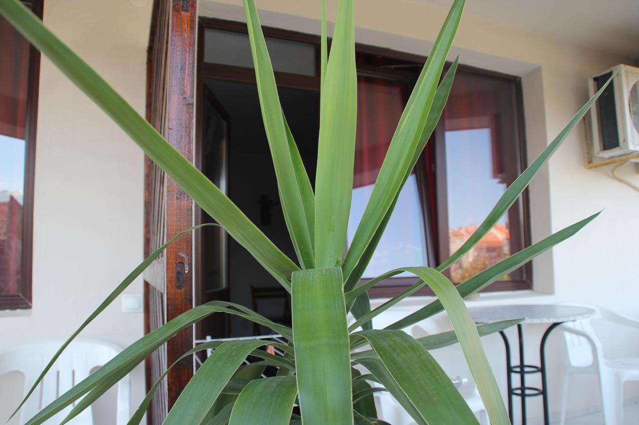 فندق Yankov'S House سوزوبول المظهر الخارجي الصورة